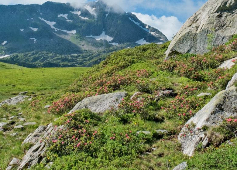 Parcours trail n° 5 – Lac Tournant