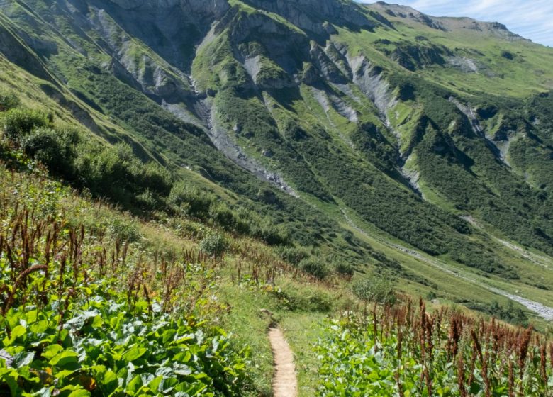 Parcours trail n°12- La Gittaz