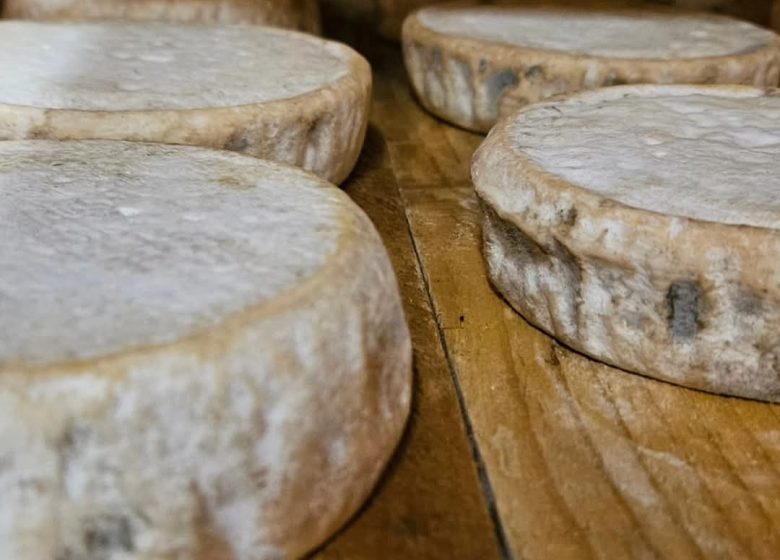 Visite du Gaec des deux laits