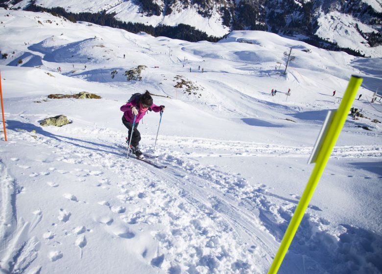 Les Traces de ski de randonnée balisées