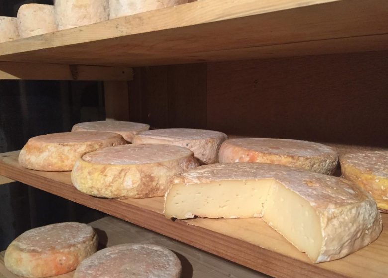 Visite de la Ferme de Melle Clémence