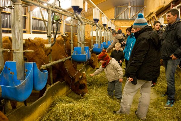 Visite de Ferme : GAEC de l’Argentine