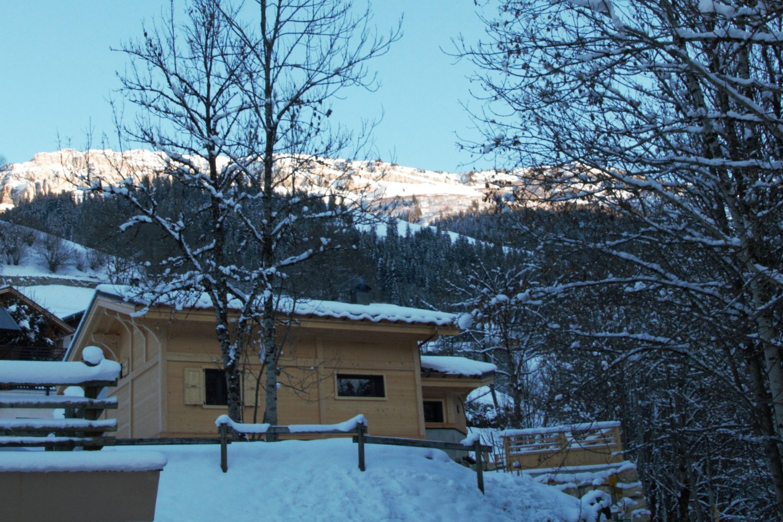 Chalet 10 personnes – TILL01
