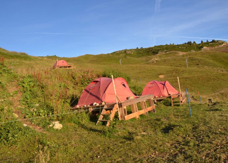 Alpage hut